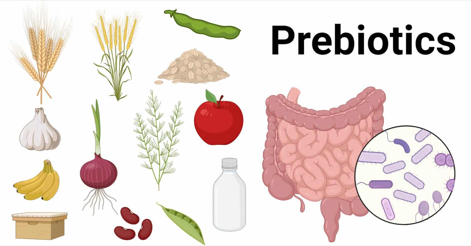 Prebiotics