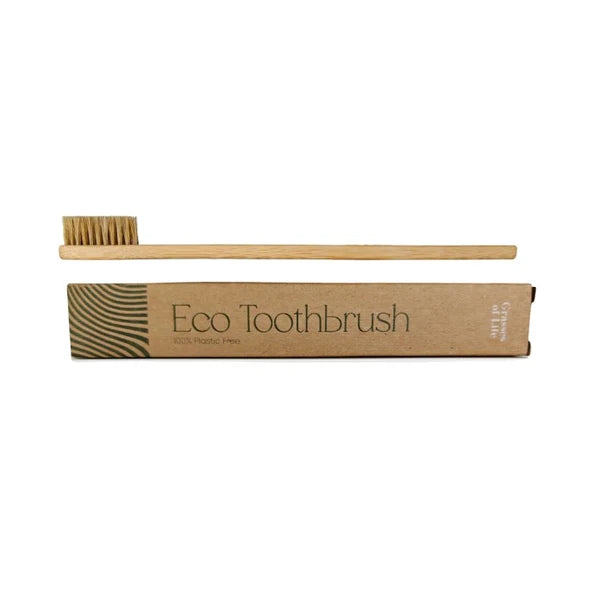 Eco Toothbrush Plastic Free Bamboo & Boar Bristle Grasses Of Life