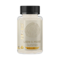 Lions Mane Gummies x60 Jar Apollo