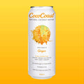 Ginger COCONUT WATER 500ML Coco Coast