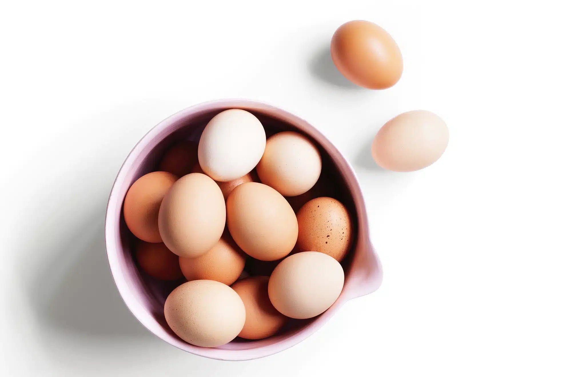 Free Range Eggs 800g Organic Egg Farmers