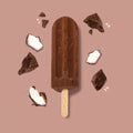 Chocolate Iceblock Single Frozen Sunshine
