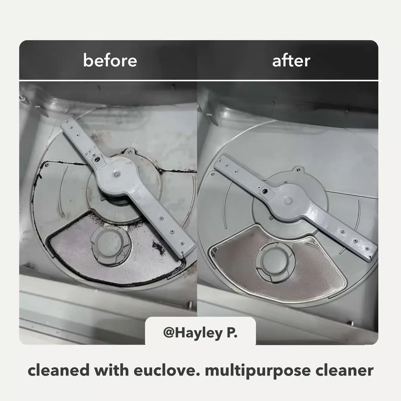 Multi-Purpose Cleaner Spray 500ml Euclove