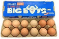 Organic Jumbo Eggs 800g Big Boys