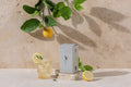 Organic Lemon Love Tea x20 Pyramids Love Tea