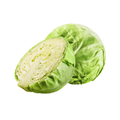 Green cabbage with a half-section on a white background
