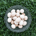 McDougalls FreeRange Eggs 600g
