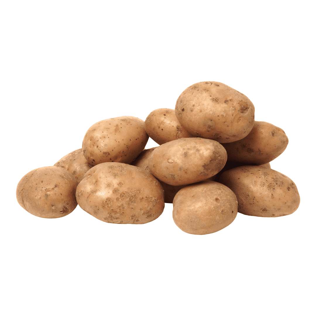 Dutch-Cream-Potato-Organic