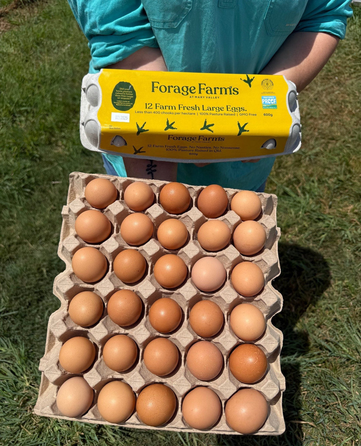 Person holding a carton of Forage Farms eggs on grass