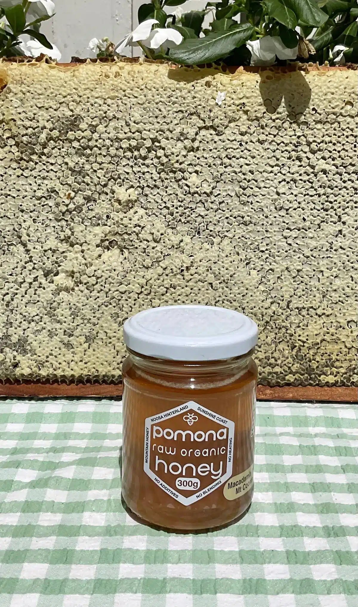 Macadamia Honey 300g Pomona Honey