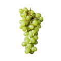 Bunch of green grapes on a white background