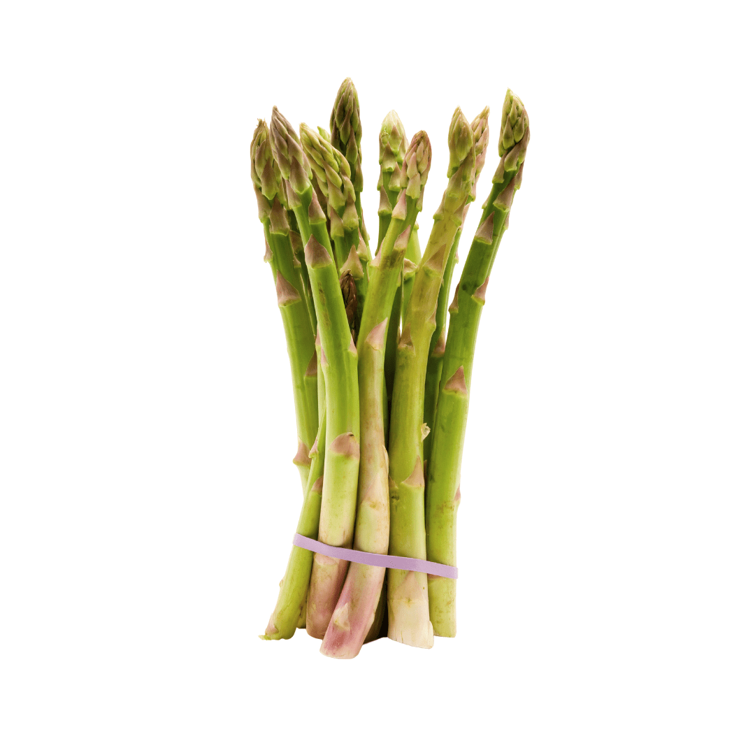 Bunch of green asparagus tied with a rubber band on a white background