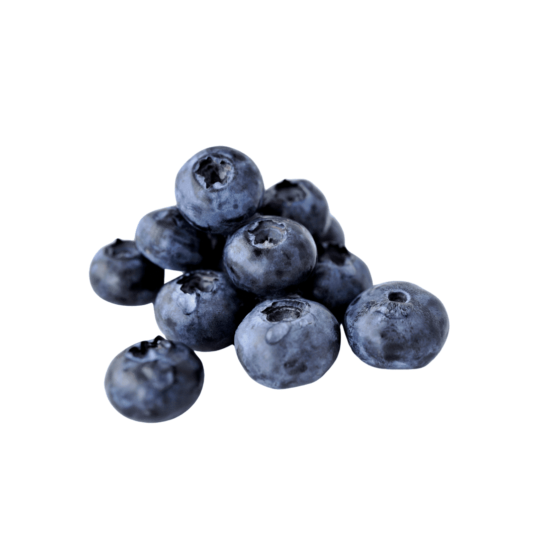 Pile of blueberries on a white background