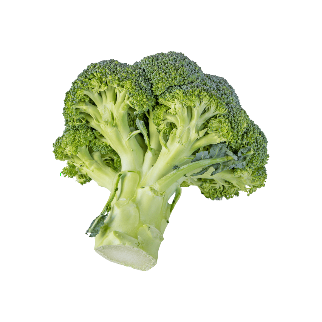 Broccoli crown on a white background