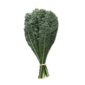 Bunch of cavalo kale leaves tied together on a transparent background