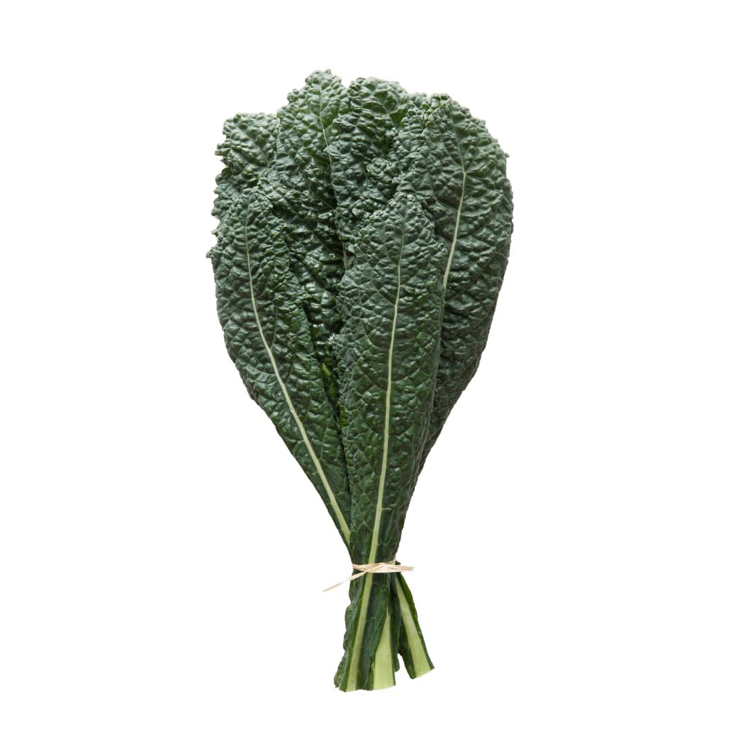 Bunch of cavalo kale leaves tied together on a transparent background
