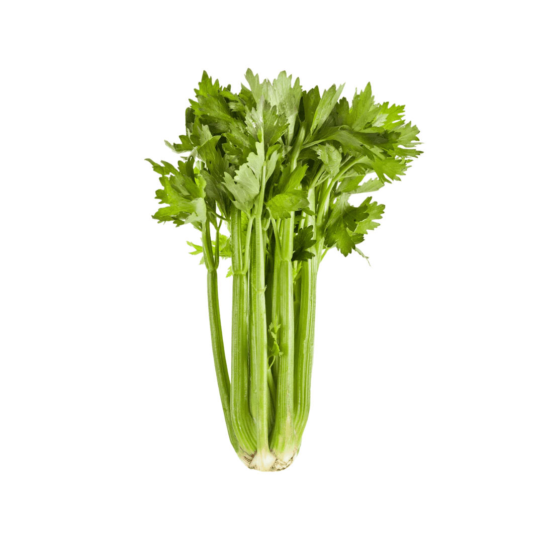 Bunch of celery on a white background
