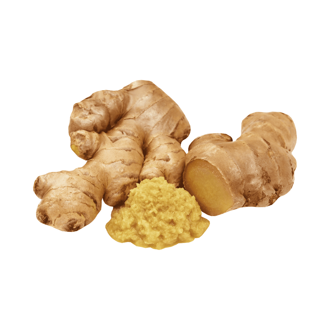 Fresh ginger root on a white background