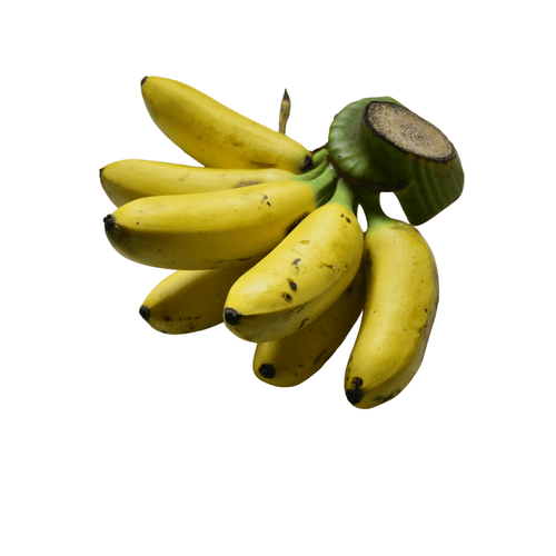 Bunch of yellow bananas with a green stem on a white background