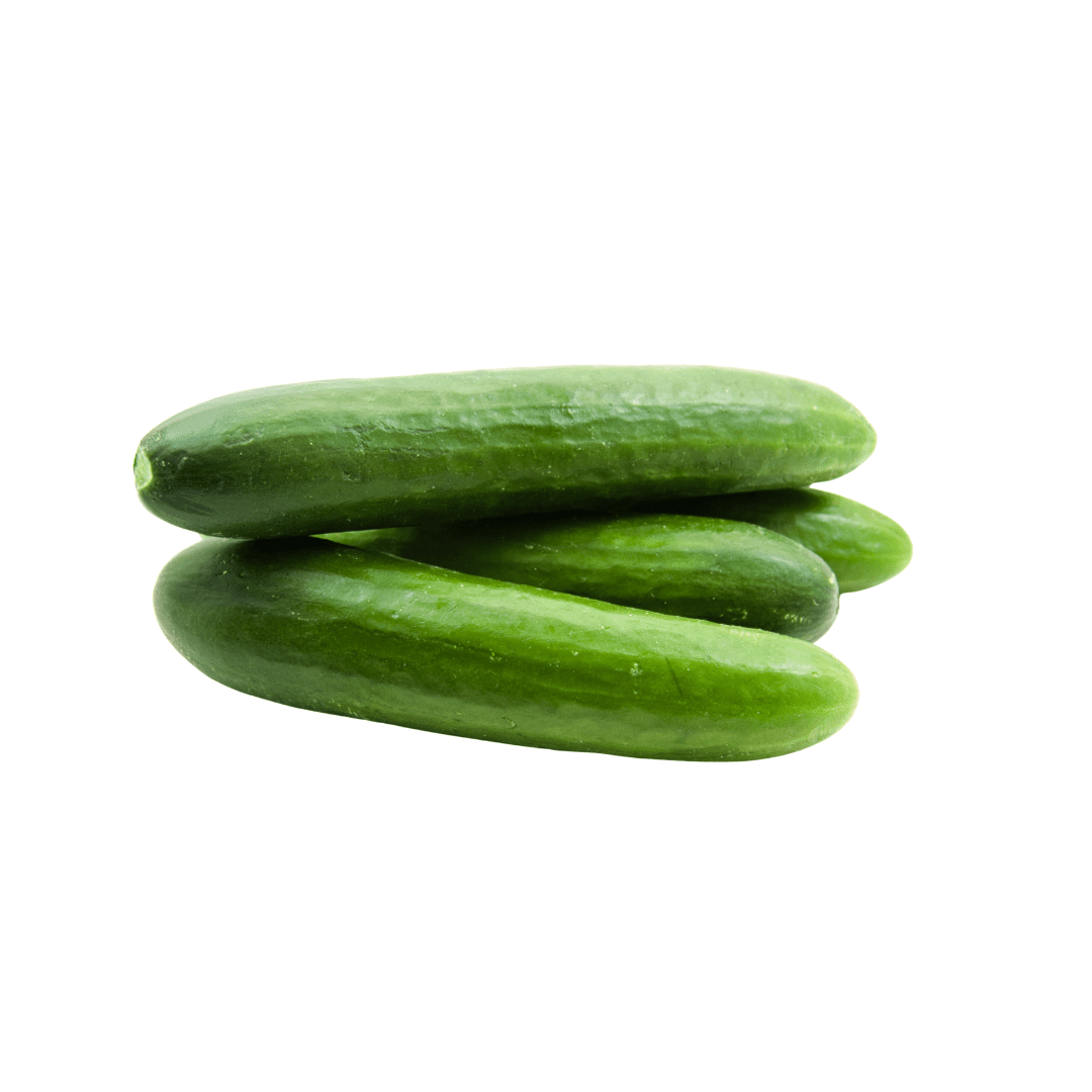 Three green lebanese cucumbers stacked on a white background.