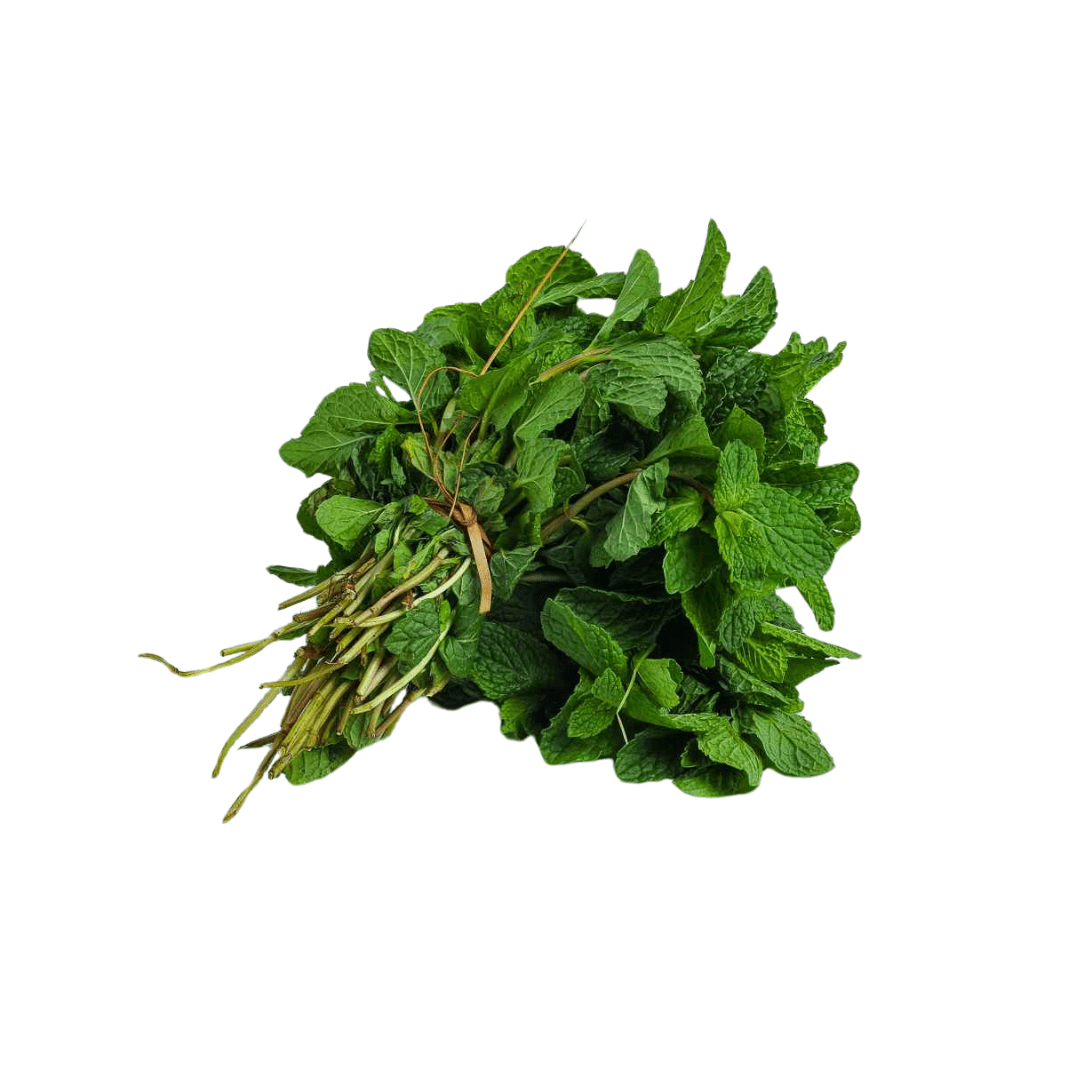 Bunch of fresh green mint leaves on a white background