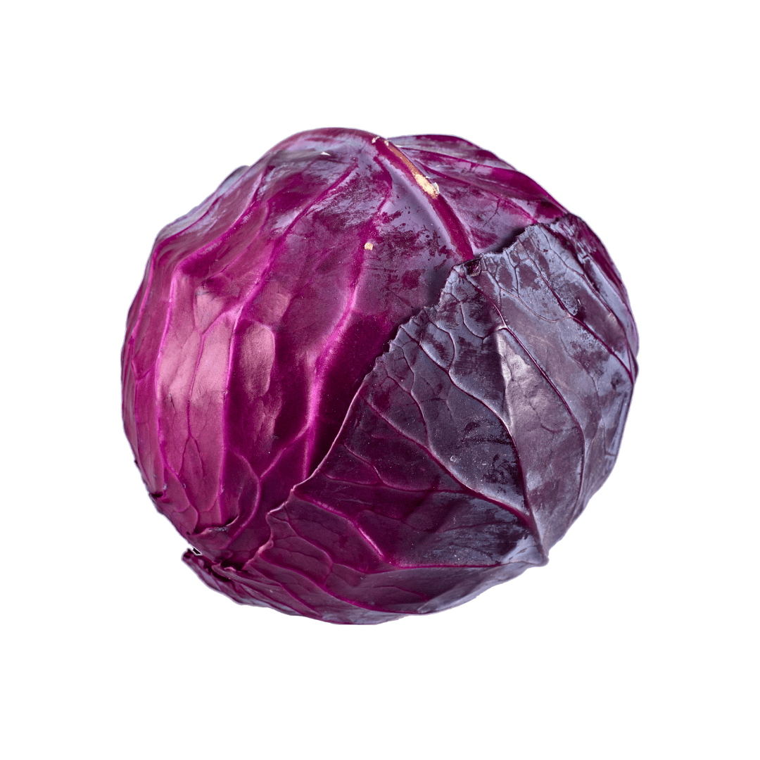 Red cabbage on a white background