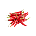Red chili peppers on a white background