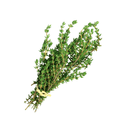 Thyme-Organic