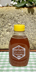 Raw Honey 500g Squeeze Pomona