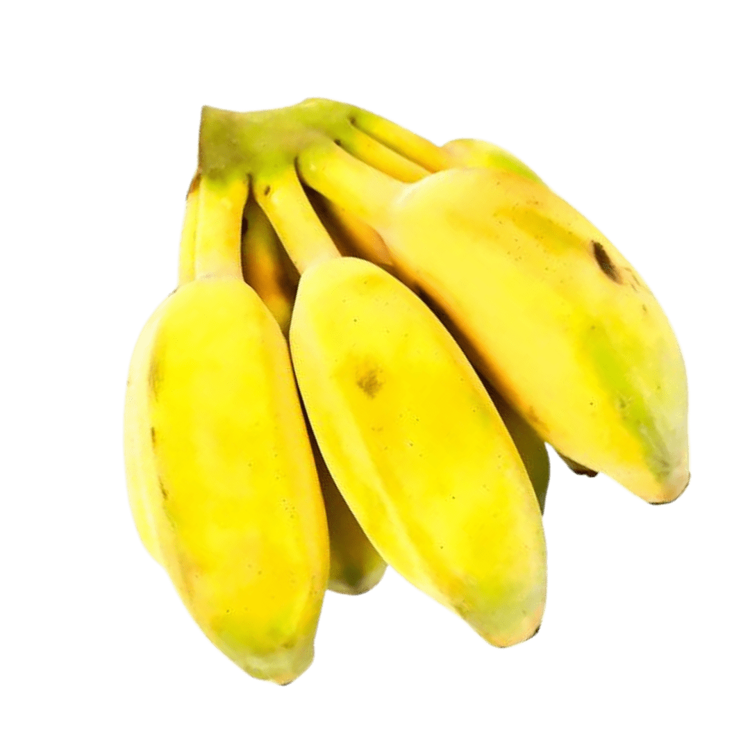 Lady Finger Bananas Greensmith Grocers