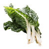 Silverbeet-Organic