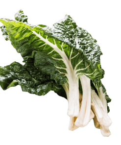 Silverbeet-Organic