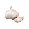 White-Garlic-Organic