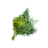 Dill-Organic