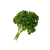 Curly-Parsley-Organic
