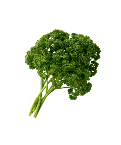 Curly-Parsley-Organic
