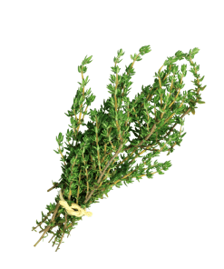 Thyme-Organic
