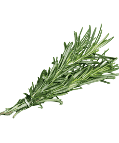 Rosemary-Organic