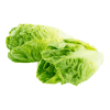 Cos-Lettuce-Twin-Pack-Organic