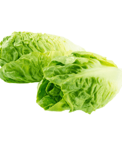 Cos-Lettuce-Twin-Pack-Organic
