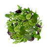 Mix-Spinach-Organic