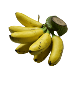 Lady-Finger-Bananas-Organic