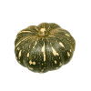 Kent-Pumpkin-Organic