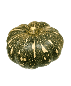 Kent-Pumpkin-Organic