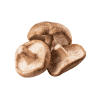 Shitake-Mushroom-Organic