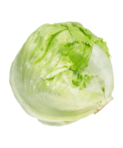 Iceberg-Lettuce-Organic