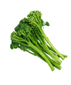 Baby-Broccoli-Organic