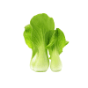 Pac-Choy-Organic