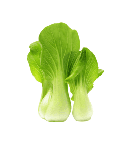 Pac-Choy-Organic