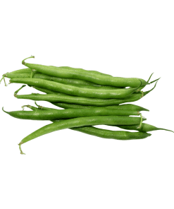 Round-Beans-Organic